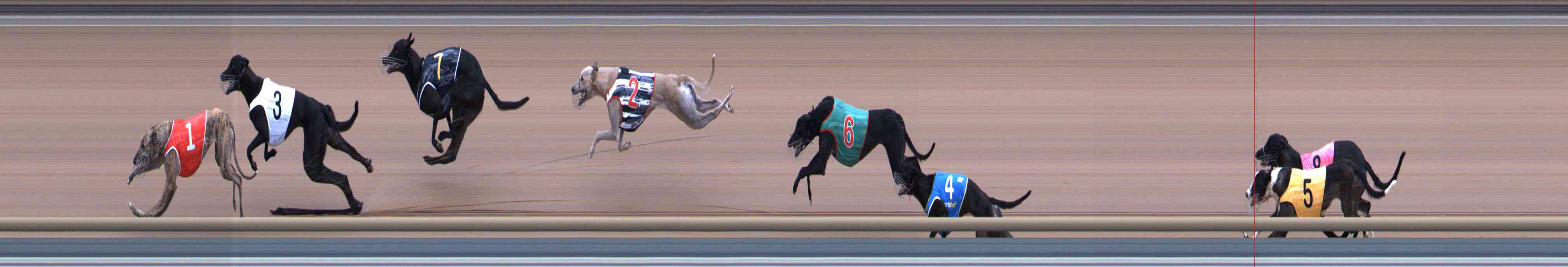 Race result finish photo